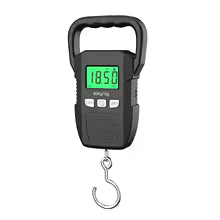 Mini Crane Scale