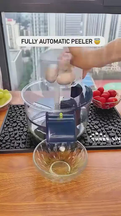 Fruit and Vegetable Peeler